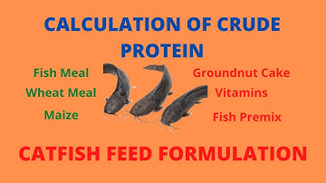 Catfish feed formulation: Crude Protein Calculations