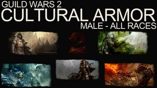 Guild Wars 2 - Cultural Armor Sets - All Races (Male)