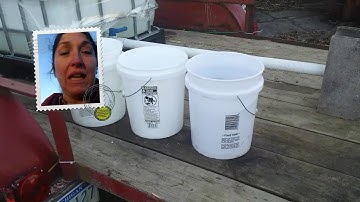 Bargain maple sap bucket find | Make your own sale