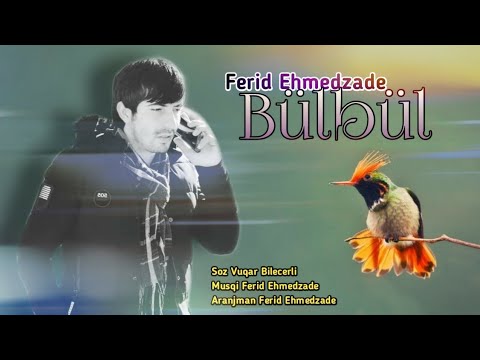 Ferid Ehmedzade - Bulbul 2020 Hit