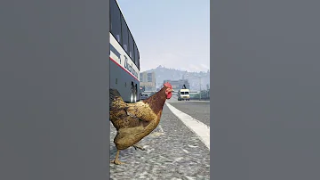 قراند 5 جاتا انا دجاجة ليوم كامل GTA V 