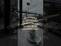 #inscrevase #viral #motivacional #motivar #imigrantes #lisboa #rj #comenta #pravoce