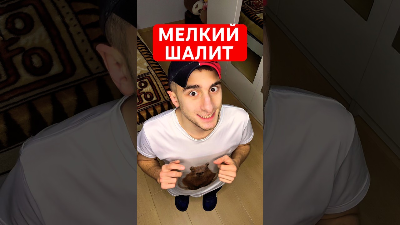 Мелкий и Домовой в сговоре #юмор #рекомендации #прикол