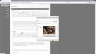 GWD CMS: Inserting Photos
