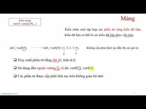 [C Review - Video 01]: Data Type, Variable, Constant