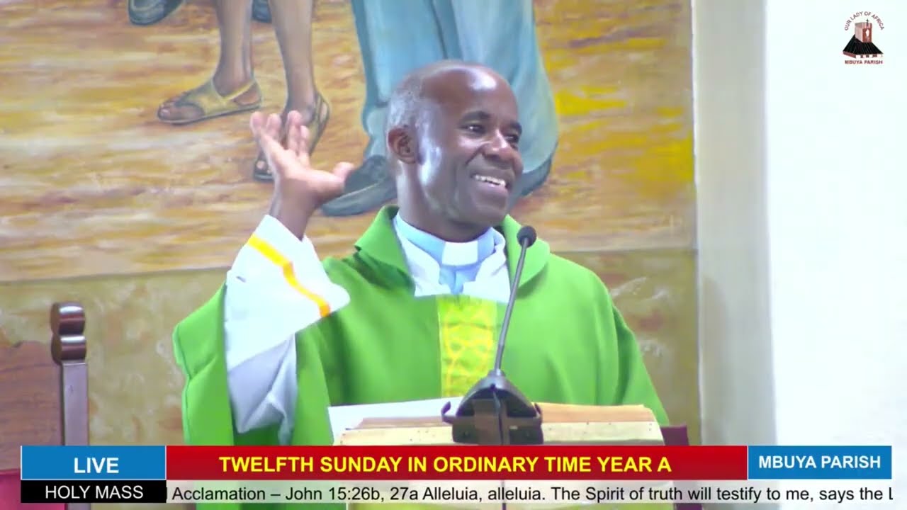 Homily for 12th Sunday in Ordinry Time