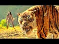 Jungli Ladke Ne Kiya Sher Khan ka Samna | Movie Explained in Hindi/Urdu (Film Story)