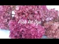 How To dry Hydrangeas & How to Color Hydrangeas