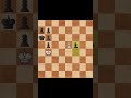 Brilliant Knight Checkmate‼️✅🔥