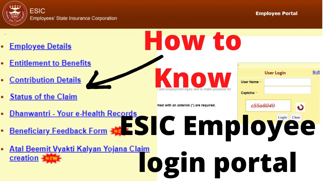 how-to-check-employee-esic-contribution-details-online-entitlement-of