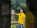 ARTENVIELFALT: Bienchen und Blümchen 🐝🦋🐞