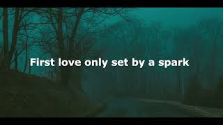 Celebrity Cage The Elephant - Too Late To Say Goodbye (Lyrics) Net Worth