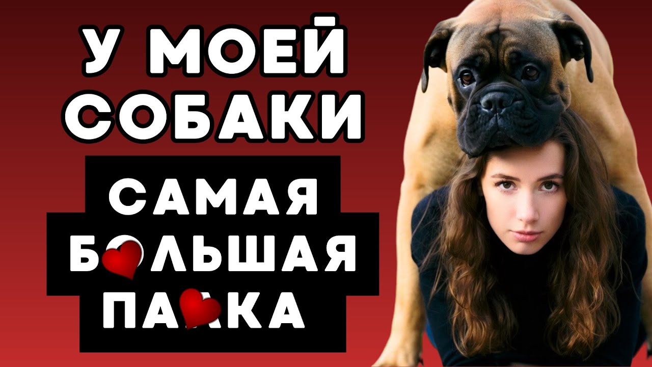 69 летняя пенсионерка прокатилась на собаке по парку и вызвала восторг прохожих