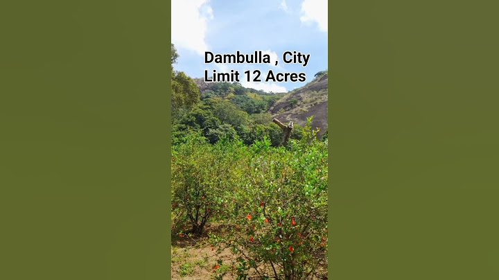 Dambulla City Limit , 12 Acres with Fruit Cultivation 🎄🍎🎄🍎🎄🍎. +94 (0) 777 807137