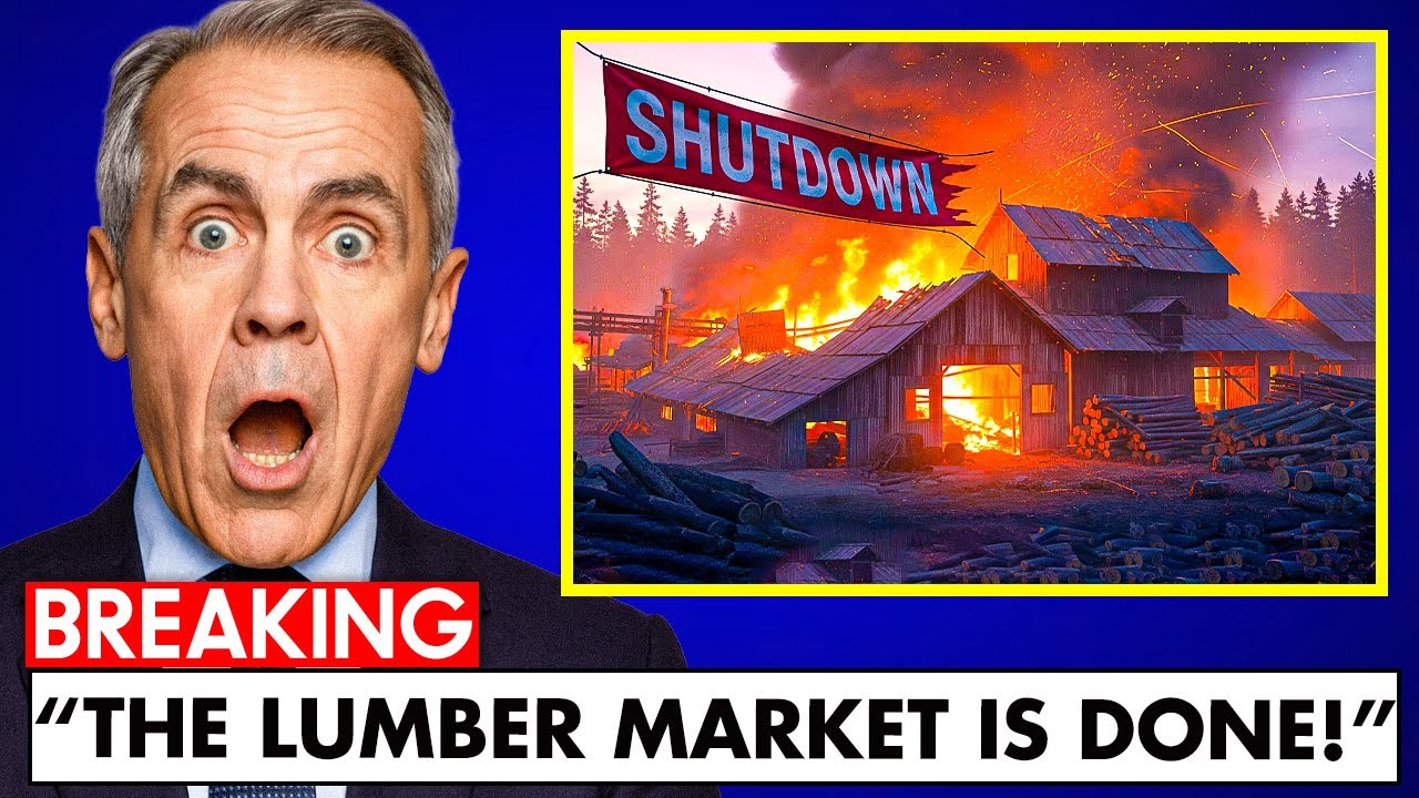 Canada In CHAOS As Lumber Market BREAKS DOWN! THIS IS SHOCKING!