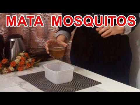 Vídeo: Receitas Populares Contra Mosquitos