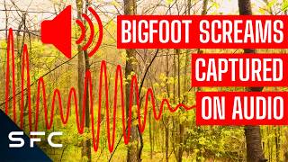 Sasquatch Scream Captured | The Bigfoot Project | S1 Ep6 | Full Documentary
