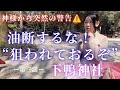 下鴨神社3|賀茂建角身命(八咫烏)から突然の警告!😱