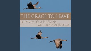 Cello Interlude 5