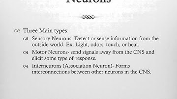 Biomodeling Video Chapter 41.1