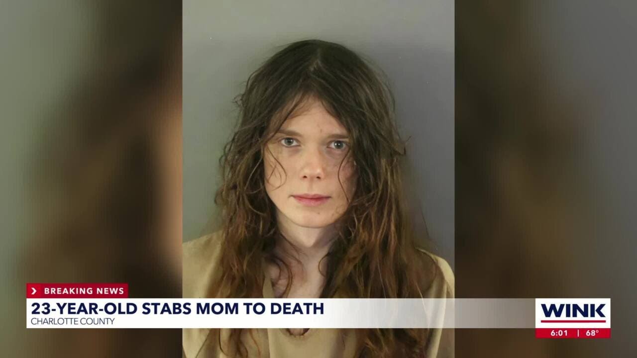 Son accused of stabbing mother to death and sisters after Christmas ...