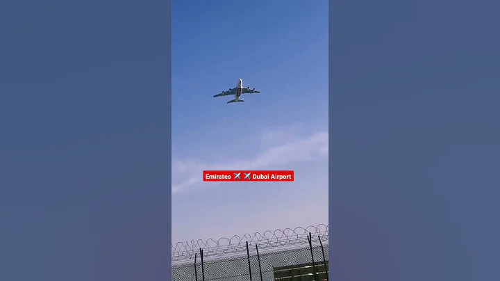 Airline Emirates flying view ✈️ #dubai #emirates #subscribe #shorts