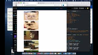VT6003CEM Web API Development AY2022/23 - Video Demonstration (Group B, 227021109, Ho Chi Leung) Profile