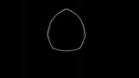 Image morphing (Triangulation) Shaojie Shen, Qi Zheng