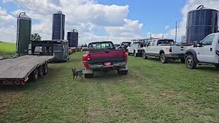 1996 DODGE RAM 3500 For Sale