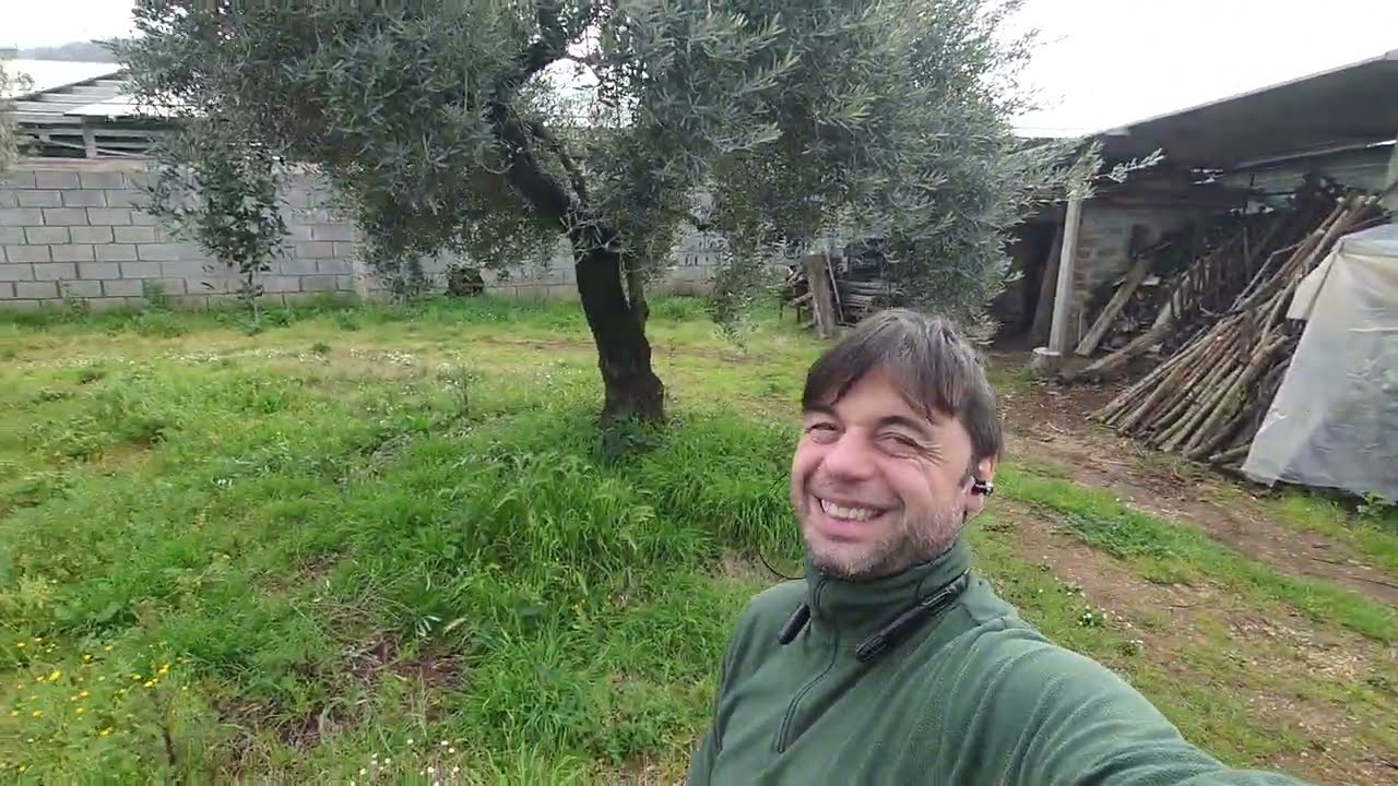 ANGELO畑ブログ・オリーブの状態、色々、ブドウ🍇のせんてい仕事・イタリア OLIODIANGELO　2026年2月24日