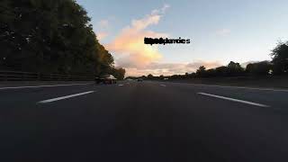 Best Car Insurance Companies in Florida 2025: Save Up to 40%