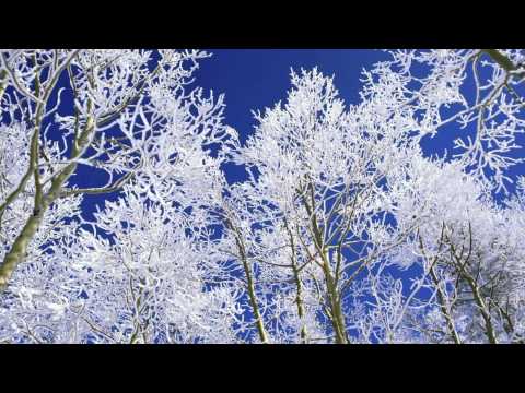 在 YouTube 上观看 Benya feat. Penny Nixon - Serendipity (Original Mix) HQ
