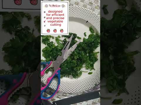 kitchen scissors/ A