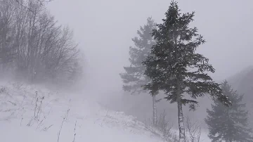 Snow Blizzard Relaxing Wind Sounds 2 Hours / Strong Winds Blowing Snow (Relax, Sleep, Study,...)