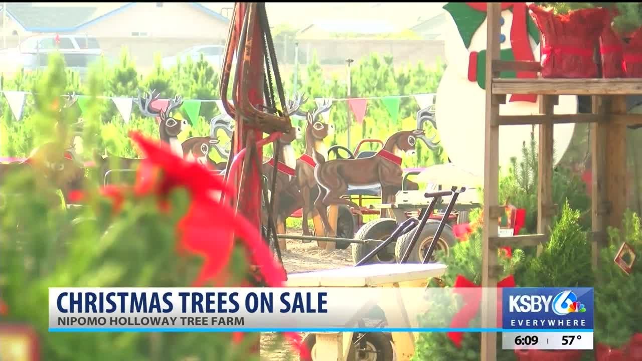 Popular Nipomo Christmas tree farm opens for holidays - YouTube