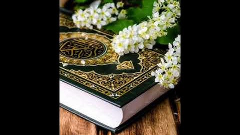 حالات واتس "سوره البقره"(الشيخ مشارى) 💖💖