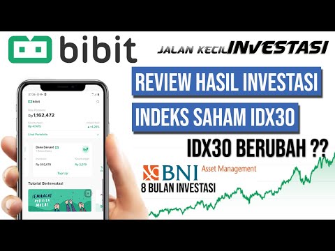Review Hasil Investasi BNI-AM Indeks idx 30 di Bibit Selama 8 Bulan