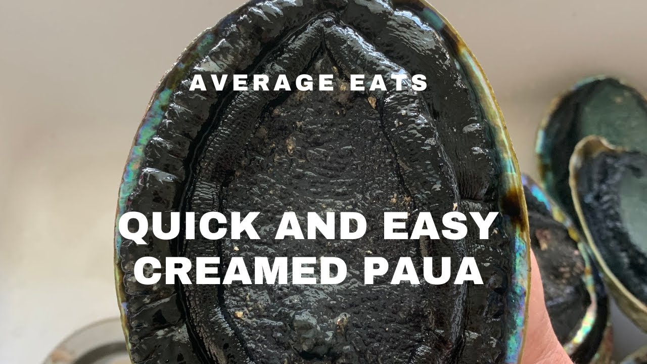 AVERAGE EATS QUICK AND EASY CREAMED PAUA RECIPE YouTube AVERAGE EATS QUICK AND EASY CREAMED PAUA RECIPE YouTube