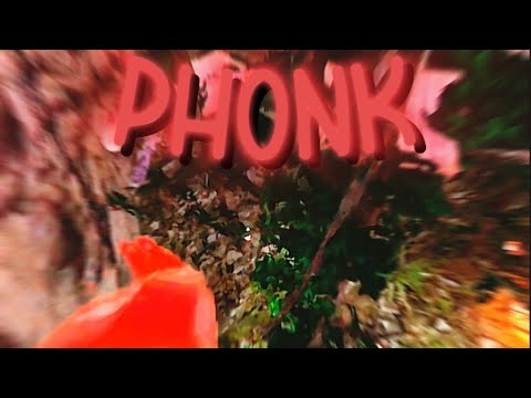 PHONK A Gorilla Tag Montage YouTube phonk-a-gorilla-tag-montage-youtube