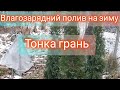 СЕКРЕТИ УСПІШНОЇ ЗИМІВЛІ : ВЛАГОЗАРЯДНИЙ ПОЛИВ ДЛЯ ЗДОРОВОГО САДУ ДОГЛЯД ЗА РОСЛИНАМИ ВЗИМКУ