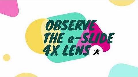 Experiment 1 DB014 Basic Technique In Microscopy