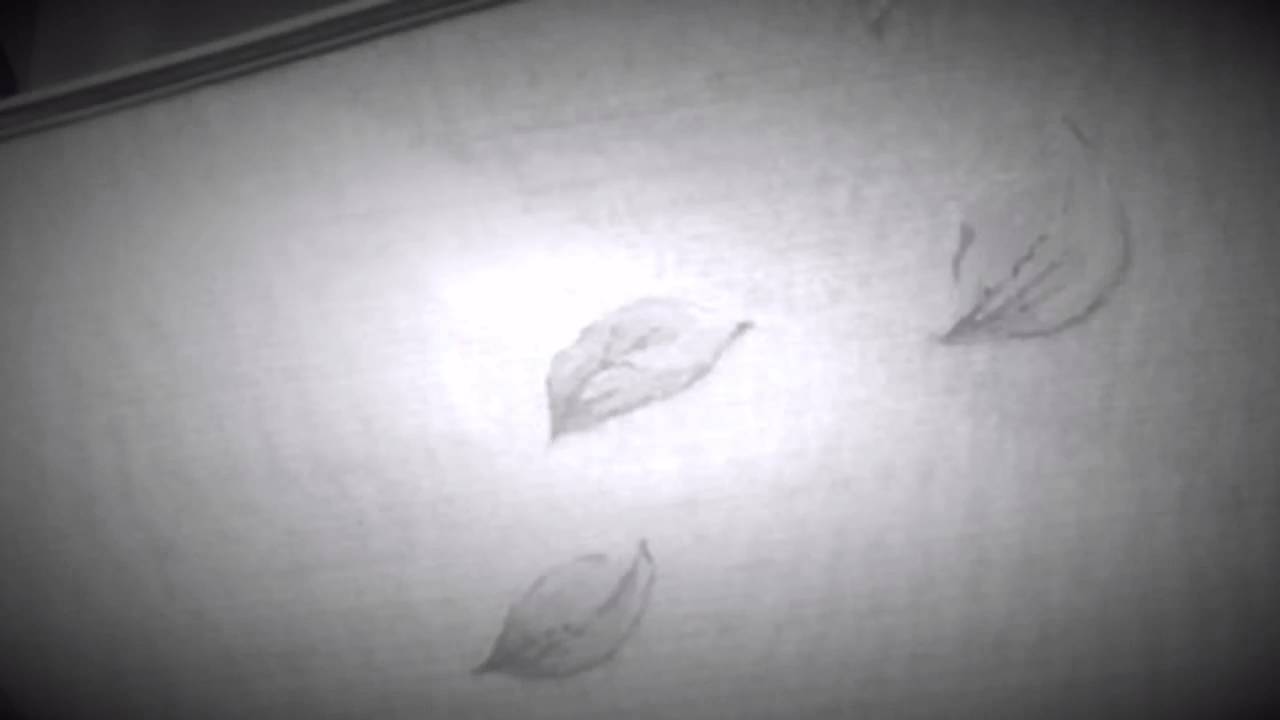 This Is The Video Page Of Meganegawaresou By Meganetsuinzutakahashiyuuandokamedaseiji