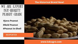 Supplier of Peanut | Bold Peanut | Java Peanut | KDC
