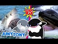 Great white shark vs orca rematch  who will be the winner  animal songs for kids  junytony