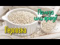 ПЕРЛОВКА, её ОГРОМНАЯ ЦЕННОСТЬ и КОВАРНОСТЬ