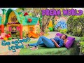Vlog 172        dream world