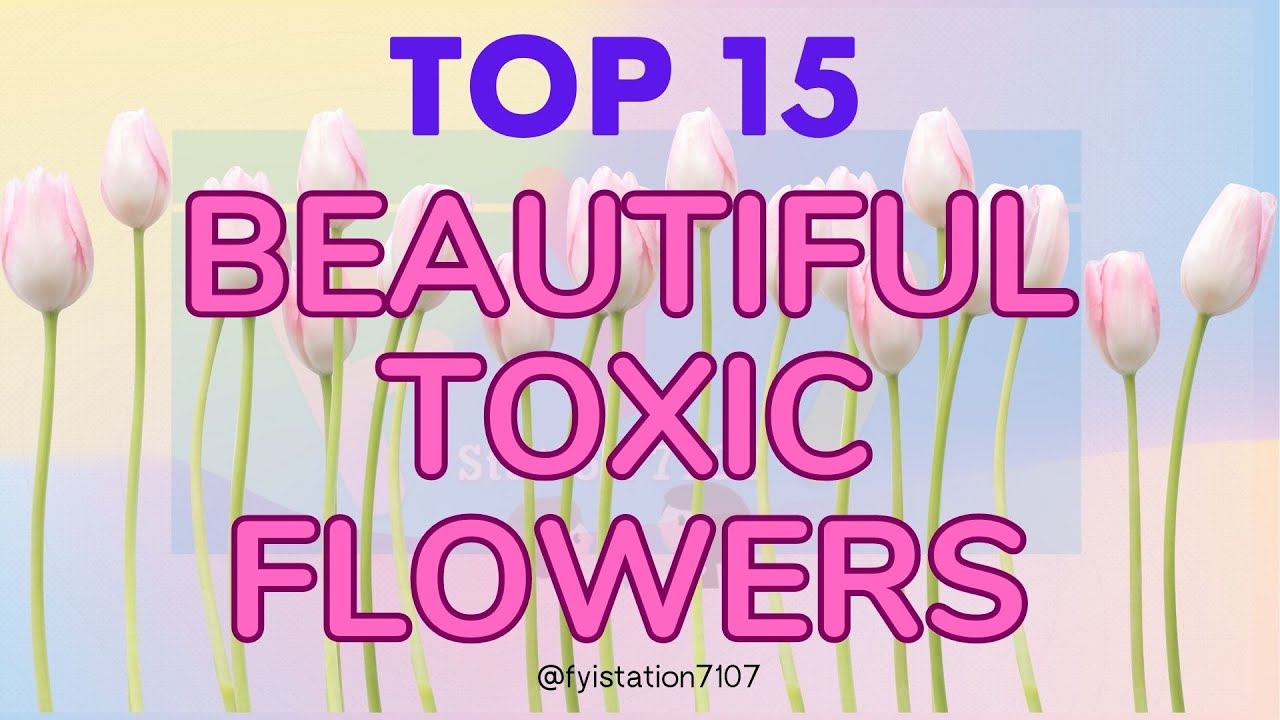 FYI TOP 15 POISONOUS BEAUTIFUL FLOWERS DEADLIEST FLOWERS with