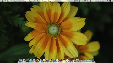 How to Use Special Characters on Your Apple Computer