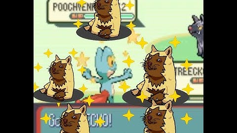 [LIVE] Shiny Treecko After 55,595 SR