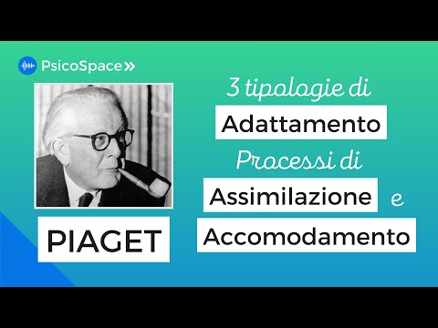 Video: Che cos'è la conoscenza dell'assimilazione?